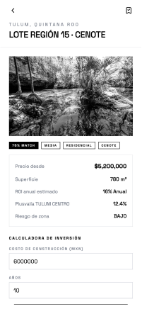 Pantalla con la vista del terreno en Región 15 y los datos del lote