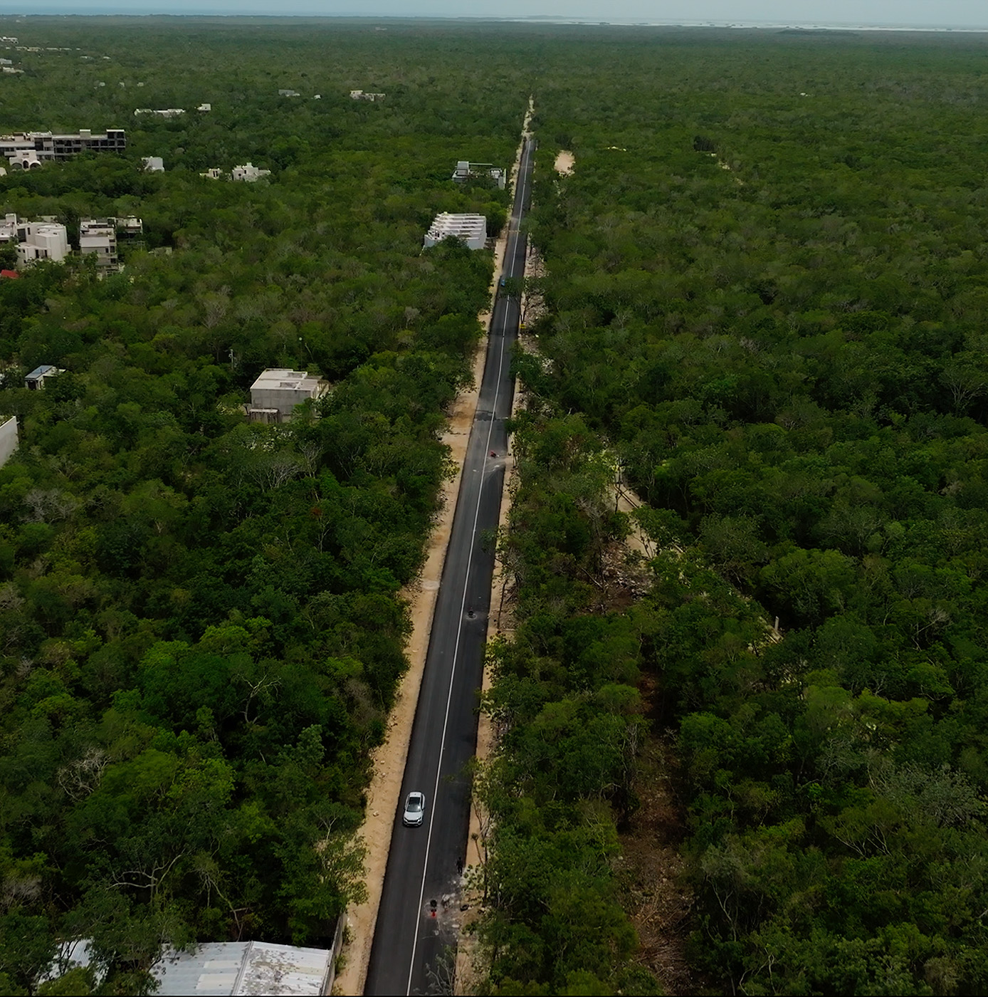 Vista aérea de Deep Veleta con la calle 5 atravesando la selva